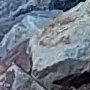 18h - Denneville Sud - Erosion du cordon
