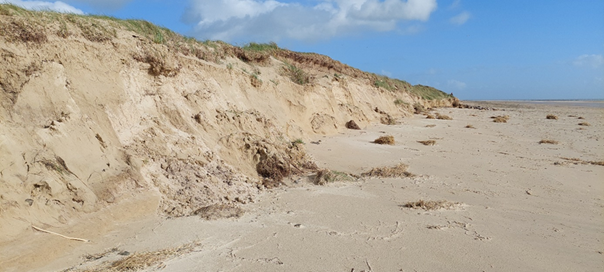 Dune érodé par la mer